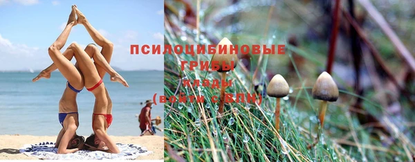 амф Алзамай