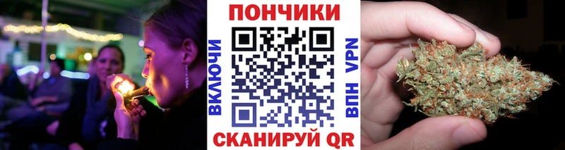 shop официальный сайт  Стародуб  Шишки марихуана план 